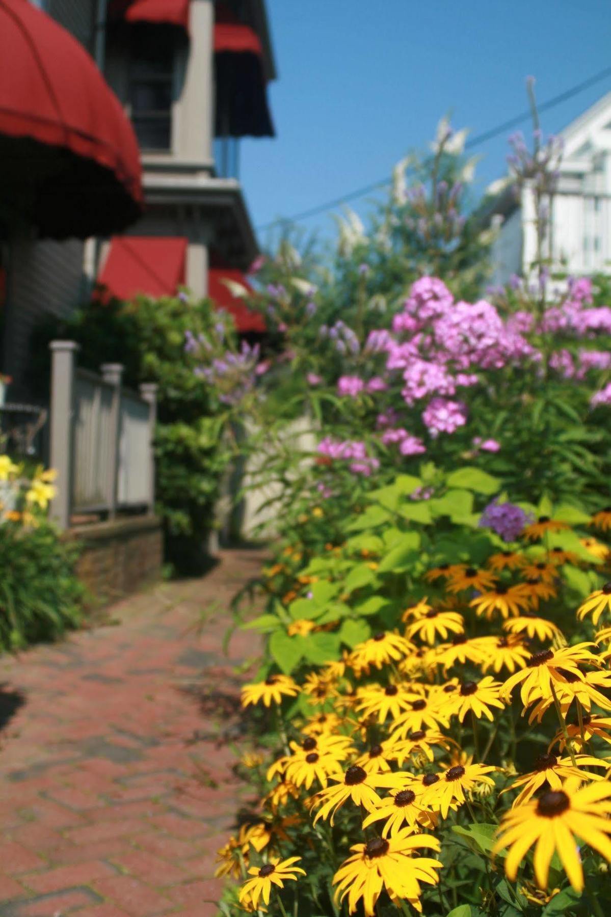 Prince Albert Guest House, Provincetown Extérieur photo